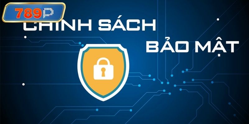 Phạm vi áp dụng chính sách bảo mật 789P